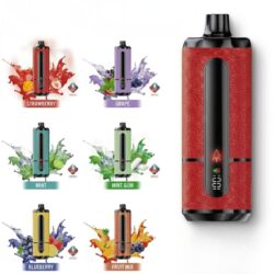 JNR Shisha Storm 52000 Puffs Best DTL Vape Dubai