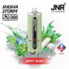 JNR Shisha Storm 52000 Puffs Mint Gum