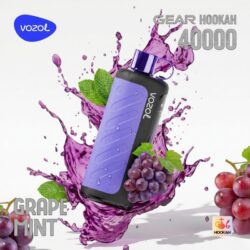 VOZOL Gear 40000 Puffs Hookah Vape Grape Mint