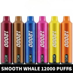 Smooth Whale 12000 Puffs Disposable Vape