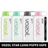 Vozol Star 12000 Puffs Disposable Vape